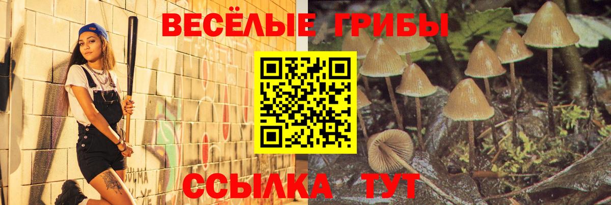 Галлюциногенные грибы Psilocybe  Вход с VPN  Семёнов 